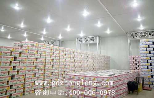 蔬菜水果保鮮冷庫(kù),冷藏庫(kù),冷庫(kù)建造,東莞冷藏庫(kù)